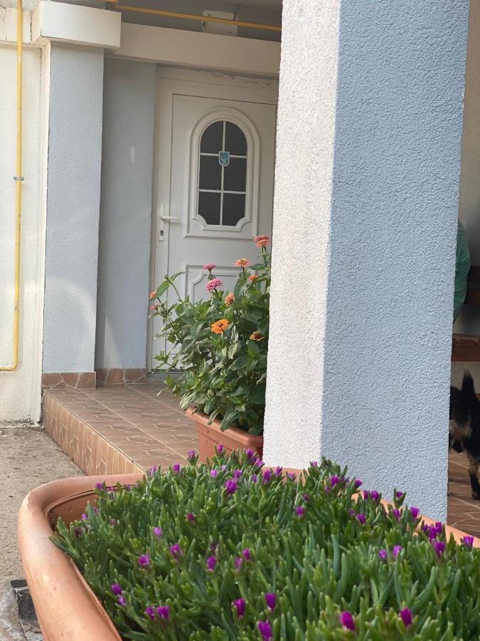 Maca I Ante Pavlovic Bed & Breakfast Medjugorje Exterior photo